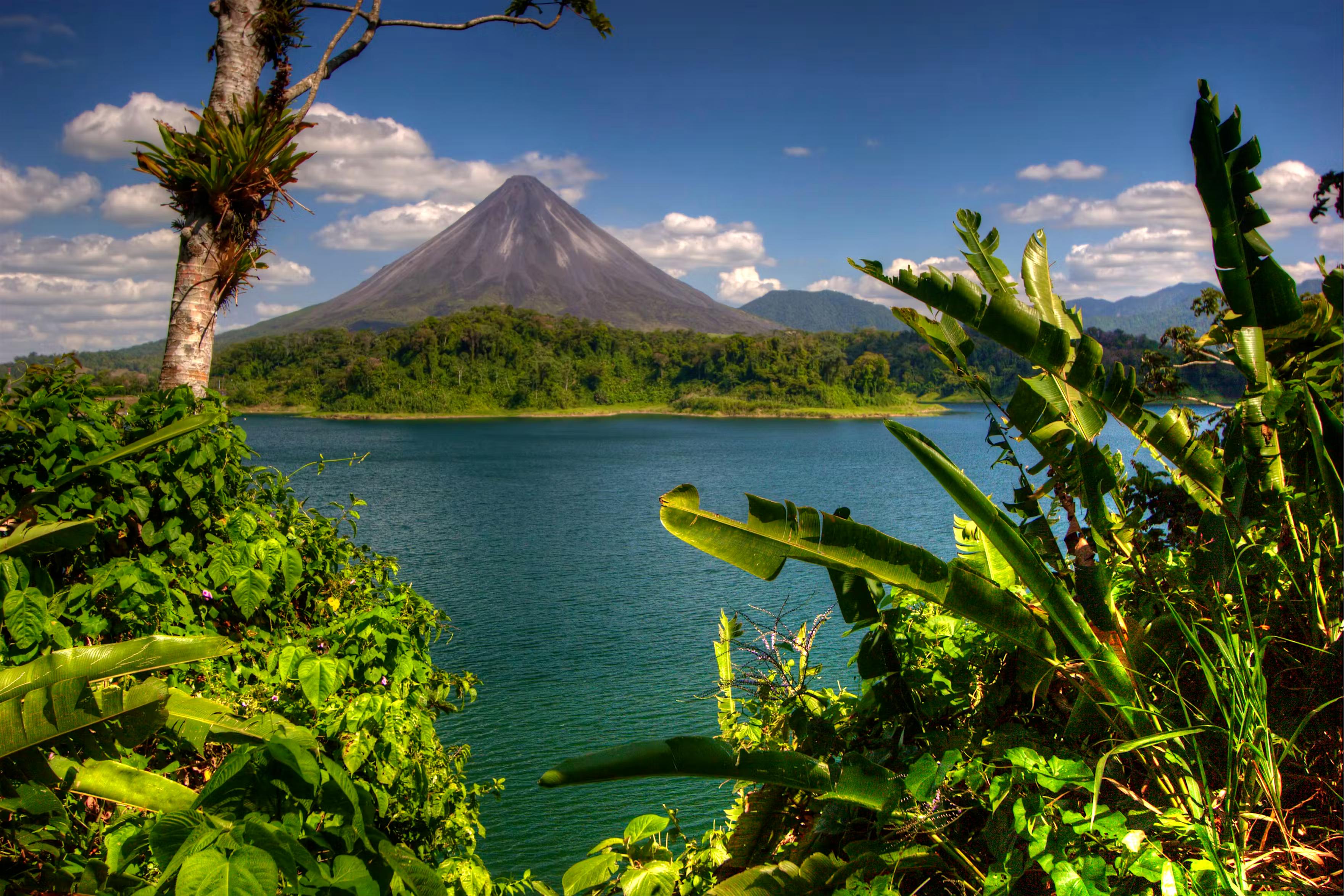 Reimagine your next chapter in Costa Rica with Dr. Rebecca Sutherns background